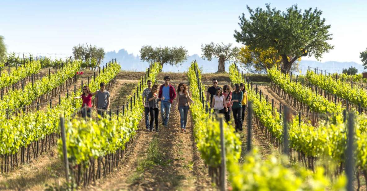 From Barcelona: El Penedès Hike and Wine Tour - Last Words