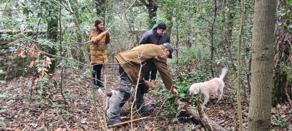 From Florence: Truffle Hunt and Lunch in the Countryside - Customer Review