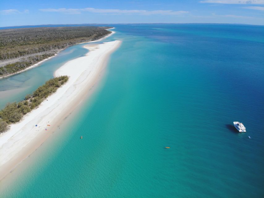 From Hervey Bay: 1/2 Day Kgari Fraser Island Beach Cruise - Customer Reviews