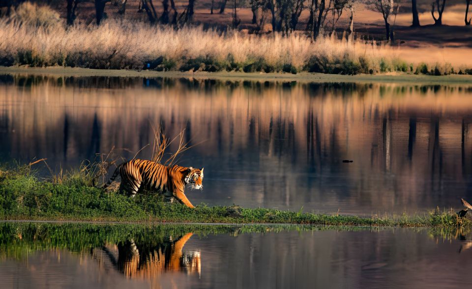 From Jaipur : 2 Days Ranthambore Tiger Safari Tour By Car - Common questions