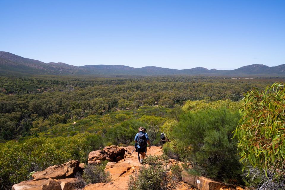 From Yulara: 8-Day Uluru to Adelaide Tour - Oodnadatta Track and Flinders Ranges Visit