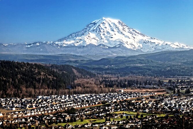 Full-Day Mt Rainier National Park Private Tour in SUV - Traveler Experiences and Recommendations