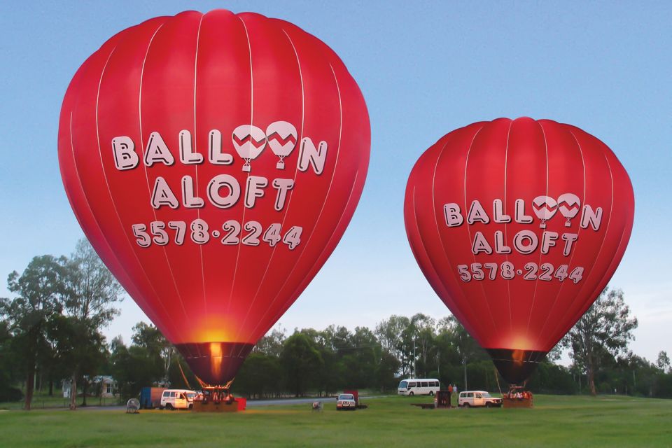 Gold Coast: Australian Sunrise 1-Hour Hot Air Balloon Flight - Key Points