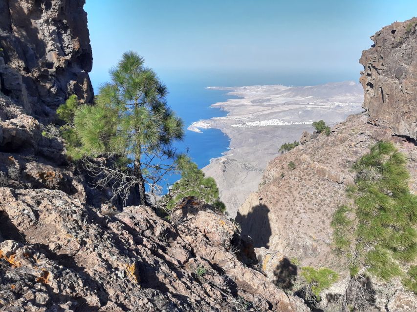 Gran Canaria: Full-Day Guided Hiking With Snacks - Snacks Provided