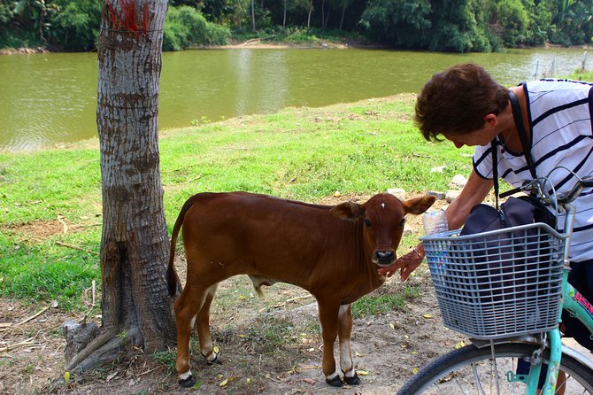 Half Day Ride Bike to the Farm and Cooking Activity With Foot Massage - Copyright and Terms of Service