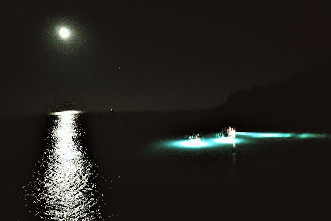 Istria Sea Canyon Illuminated Kayak Tour by Night - Common questions