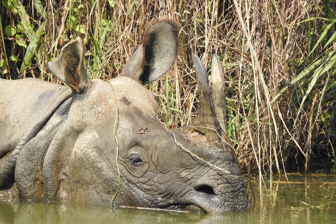 Kathmandu Chitwan Pokhara Tour - Last Words