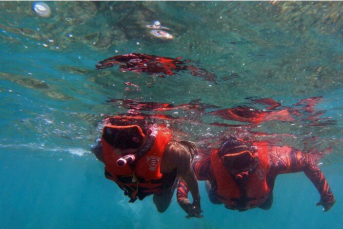 Lahaina Olowalu Beach Small-Group Kayaking Snorkeling Tour  - Maui - Last Words