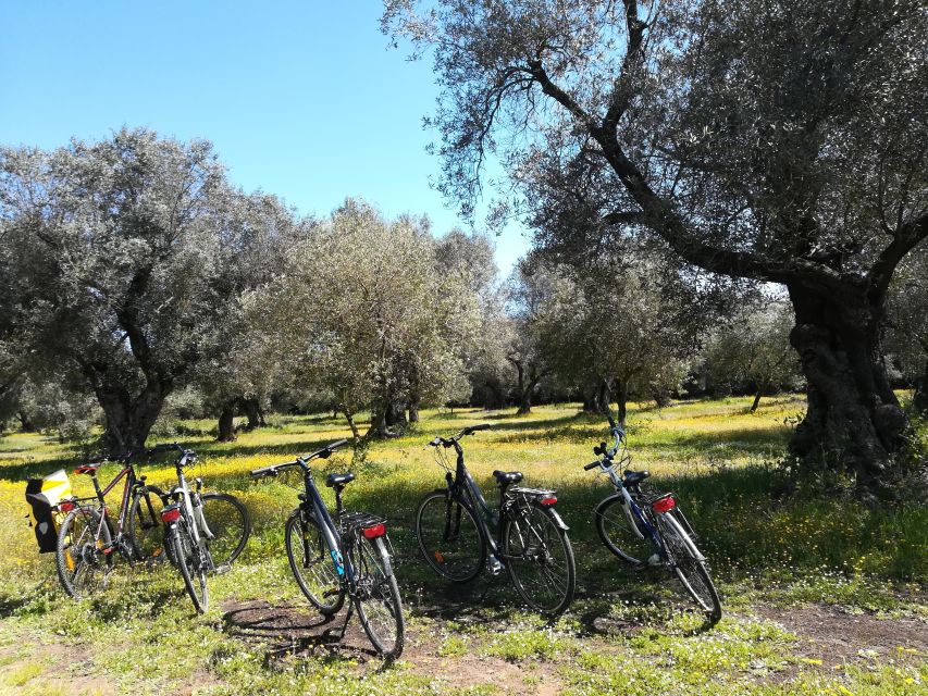 Lecce: Bike Rental (City, Trekking, E-Bikes) - Common questions