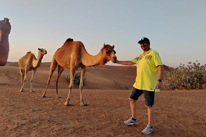 Lehbab Sunrise Desert Safari Dubai - Contacting Viator, Inc