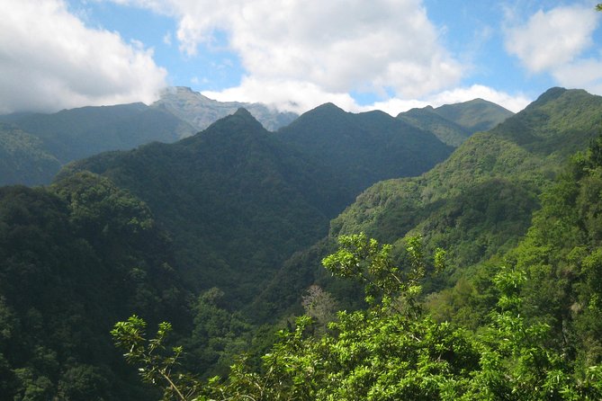 Levada Do Rei - Ribeiro Bonito (Full Day Walk) - Cancellation Policy