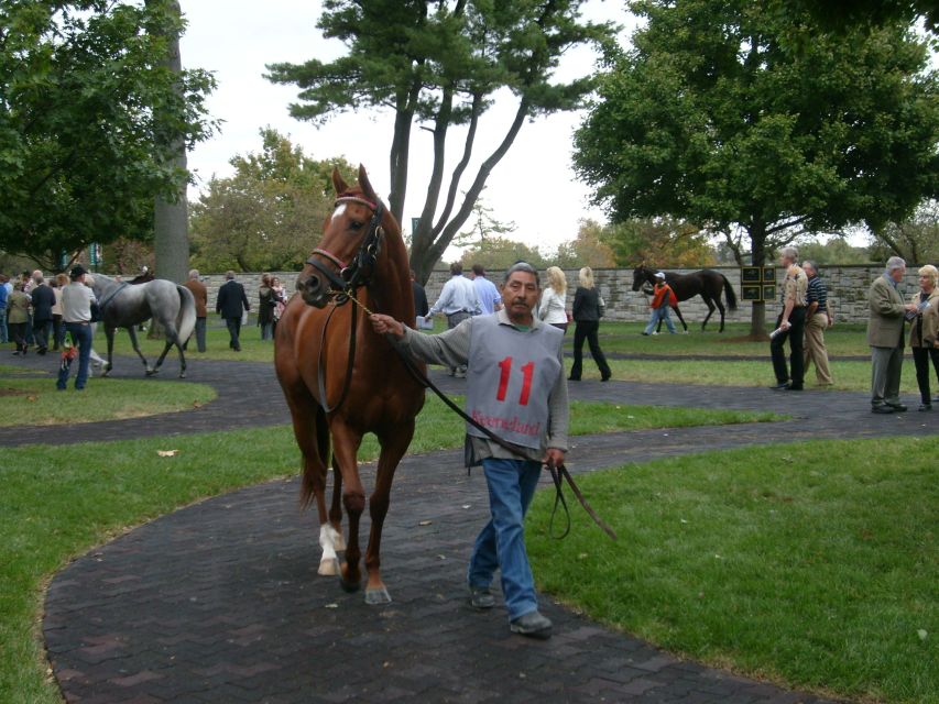 Lexington: Horse Farm Tour and Keeneland Race Track Visit - Last Words