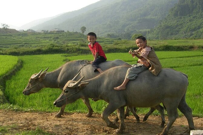 Luxury Mai Chau Full Day Tour Small Group -Departure From Hanoi - Weather Considerations