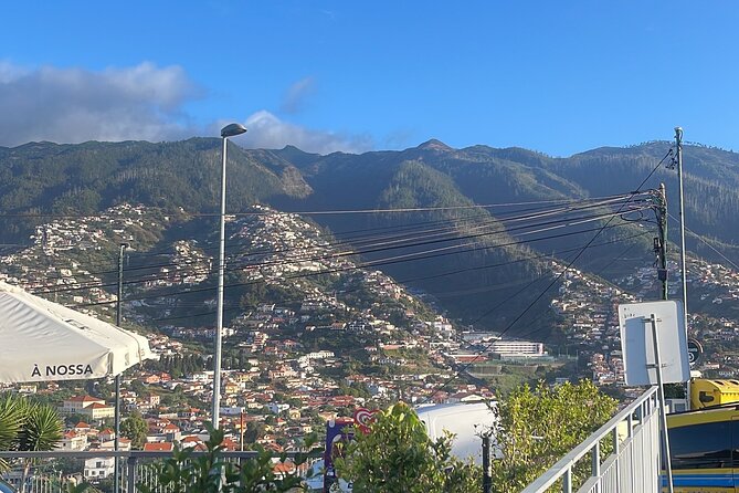 Madeira Essence Half Day Tour for Cruises - Customer Support Details