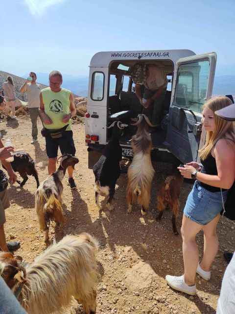 Malia: The Roads Of Wine Olive Oil And Cretan Tradition - Directions and Logistics