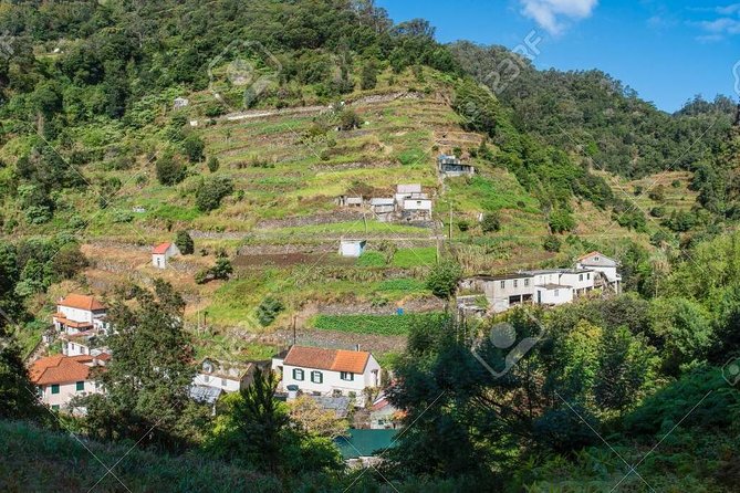Mimosa Valley and Marocos Levada Guided Walk  - Madeira - Last Words