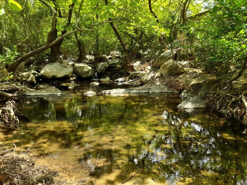 Naxos: a Riverbank Adventure (Kinidaros - Eggares Villages) - Directions