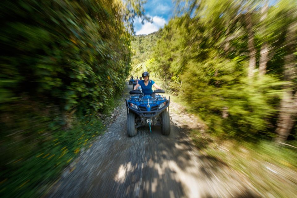 Nelson: Guided Quad Biking Tour Through Forest and Farmland - Location Information and Recommendations