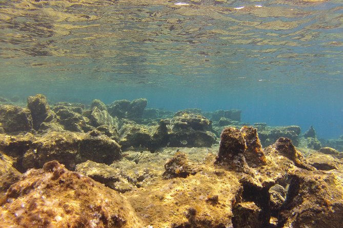 Olous – Guided Snorkelling Excursion to Discover Olous Sunken Ancient City - Common questions