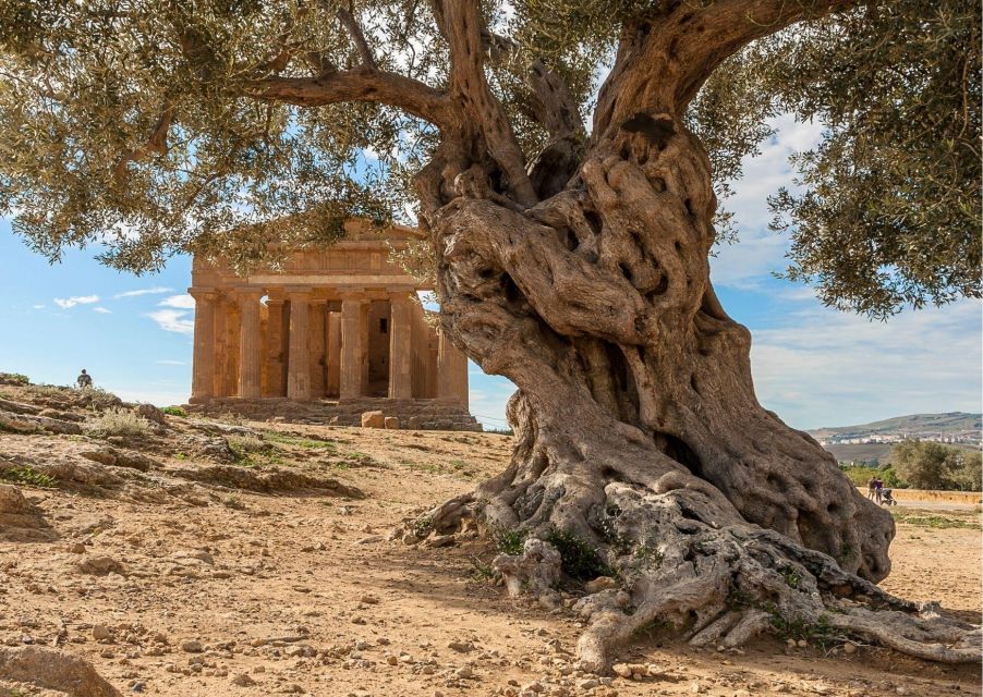 Palermo to Taormina: Stop Valley of Temples and Roman Villa - Participant Requirements