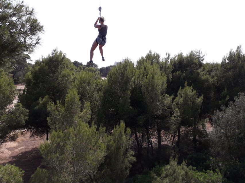 Palma: Family or Sports Course Adventure at Forestal Park - Common questions