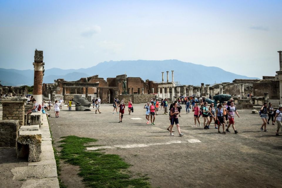 Pompeii Official Guide Private Tour and Vineyard Experience - Last Words