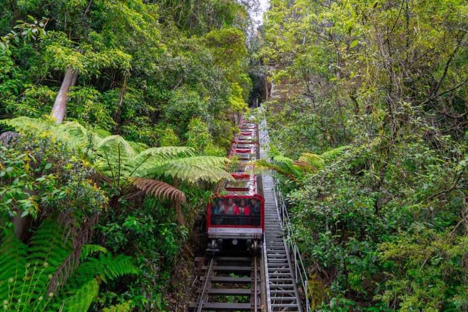 PRIVATE All Inclusive Blue Mountains & Scenic World Tour - Last Words