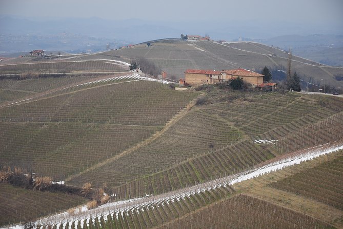 Private Tour From Turin: Full Day Langhe Region With Its Colors and Flavors - Last Words