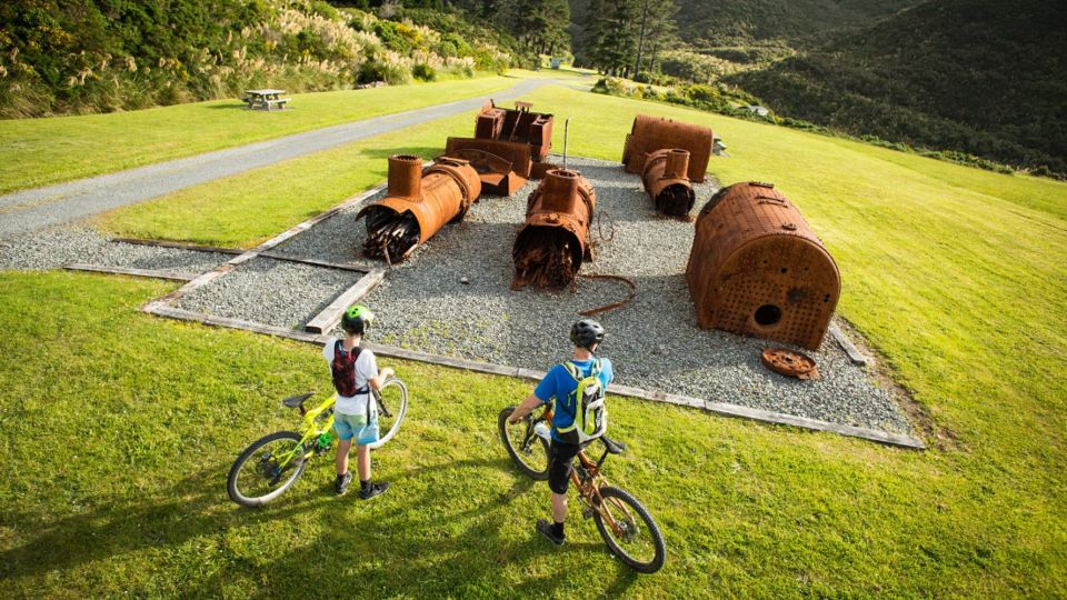 Remutaka Rail Trail Ebike Shore Excursion for Cruise Ships - Avoid Boarding Town-Bound Buses