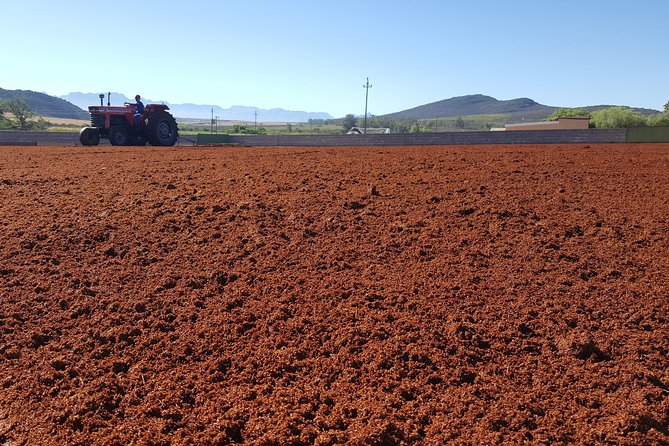 Rooibos Tea Plantation Private Tour and Tasting  - Western Cape - Additional Resources and Information