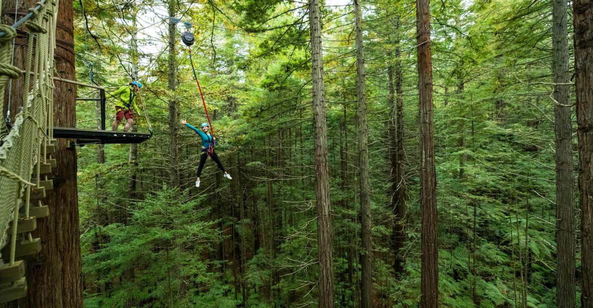 Rotorua: Redwoods Altitude High Ropes Adventure - Common questions