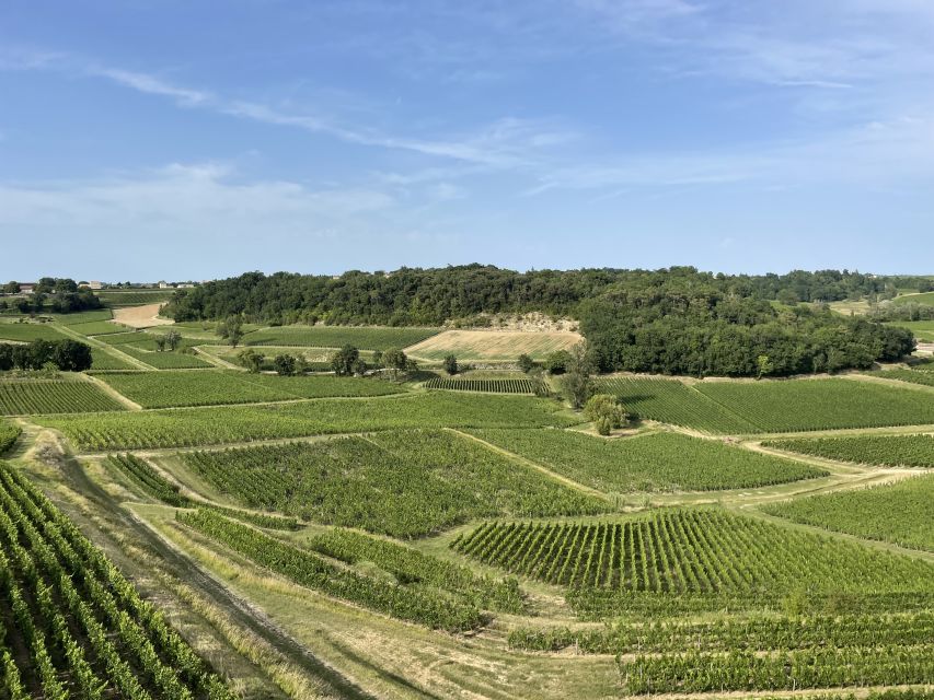 Saint-Emilion : Half-Day Wine-Tour Into Classified Estates - Important Considerations and Recommendations