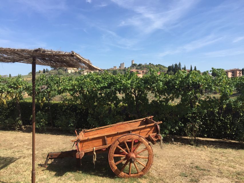 San Gimignano: Saffron and Vernaccia Tasting With Lunch - Additional Notes