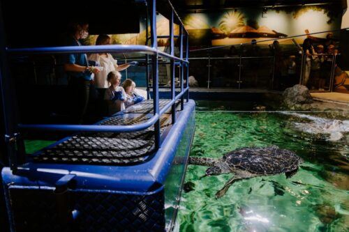 Sea Life Brighton Admission Ticket - Booking Information