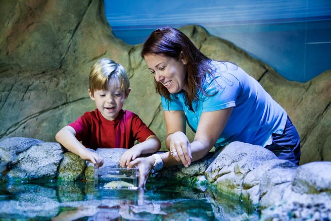 SEA LIFE San Antonio Admission Ticket - Common questions