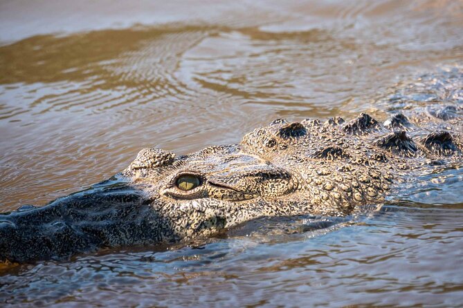 Sian Kaan Boat Tour: Full Day Experience - Ending Notes