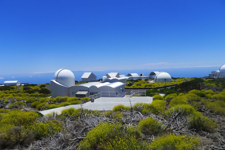 Tenerife: Take a Guided Tour of Mount Teide Observatory - Common questions