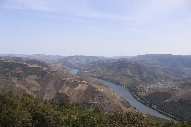 Tour the Douro Wine Region, and Discover the Fantastic Landscape - Common questions