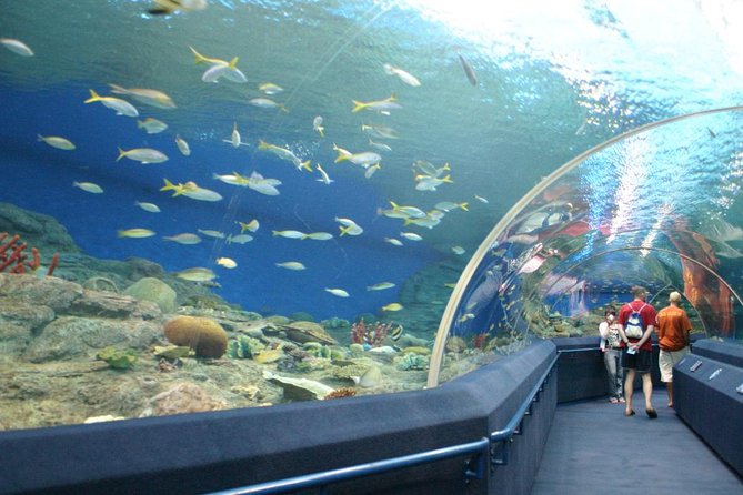 Underwater World at Pattaya Admission Ticket - Common questions