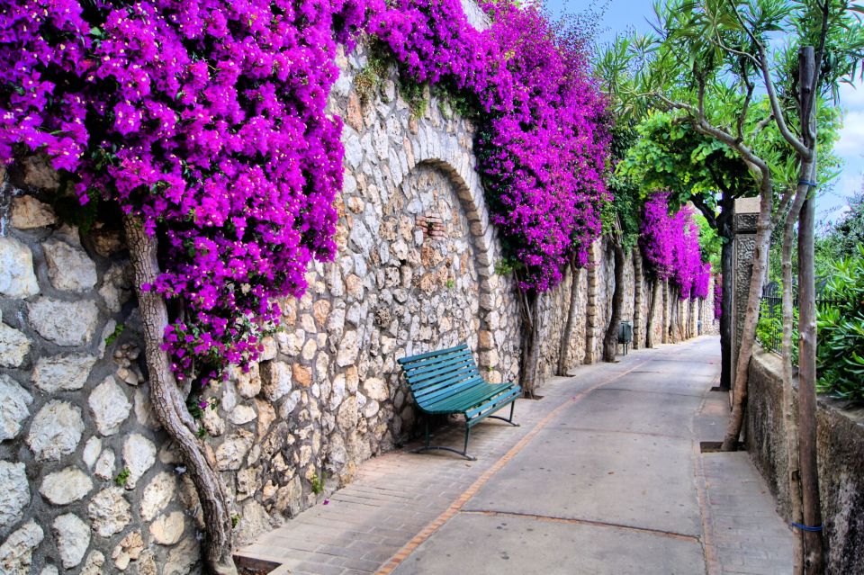 Unique Beauty and Heritage - Capri Walking Tour - Last Words