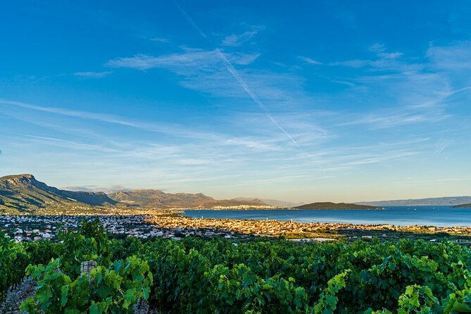 Vineyard Wine Tasting Experience With a Sea View From Split - Common questions