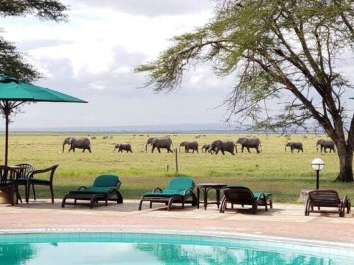 3 Days Safari to Saltlick Lodge From Nairobi - Common questions