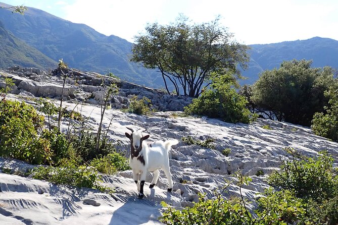 3-Hour Easy via Ferrata to Sentiero Colodri for Whole Family - Wrapping Up the Experience