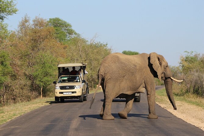 5 Day Kruger Park Classic Safari - Common questions