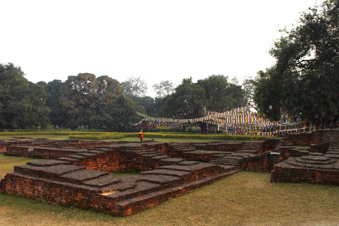 8 Days Buddhist Pilgrimage Lumbini & Jungle Safari Chitwan National Park Tour - Booking and Pricing Information