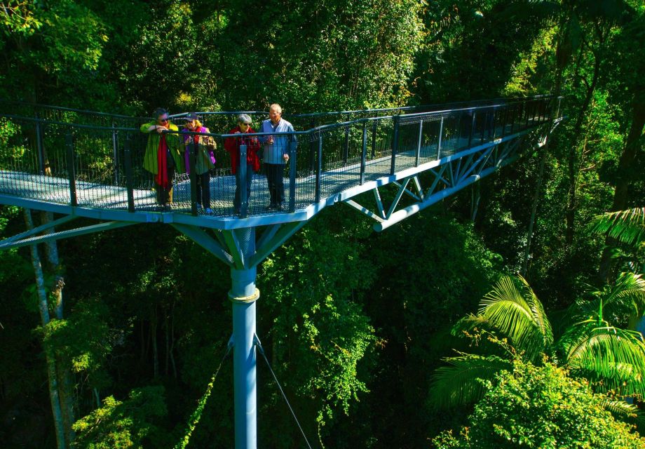 Brisbane: Hop on Hop off Bus to Tamborine Mountain - Directions