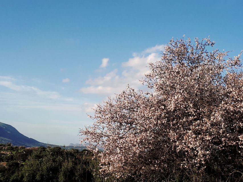 Chania Area: the 7 Villages of Apokoronas Tour With Lunch - Common questions