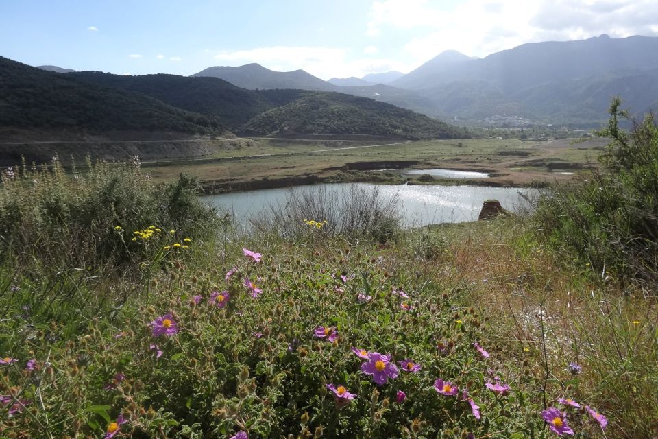 Crete: Land Rover Safari on Minoan Route - Common questions