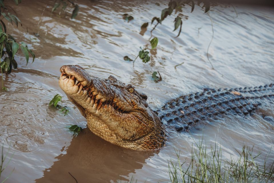 Darwin: Litchfield Day Tour and Private Crocodile Cruise - Common questions