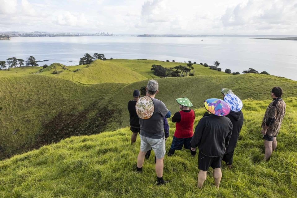 From Auckland: Browns Island Motukorea Sea Kayak Tour - Tour Price